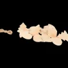Hobby Flora houten kersthanger | Action NL