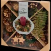 Hobby Flora maak je eigen kerstkrans | Action NL