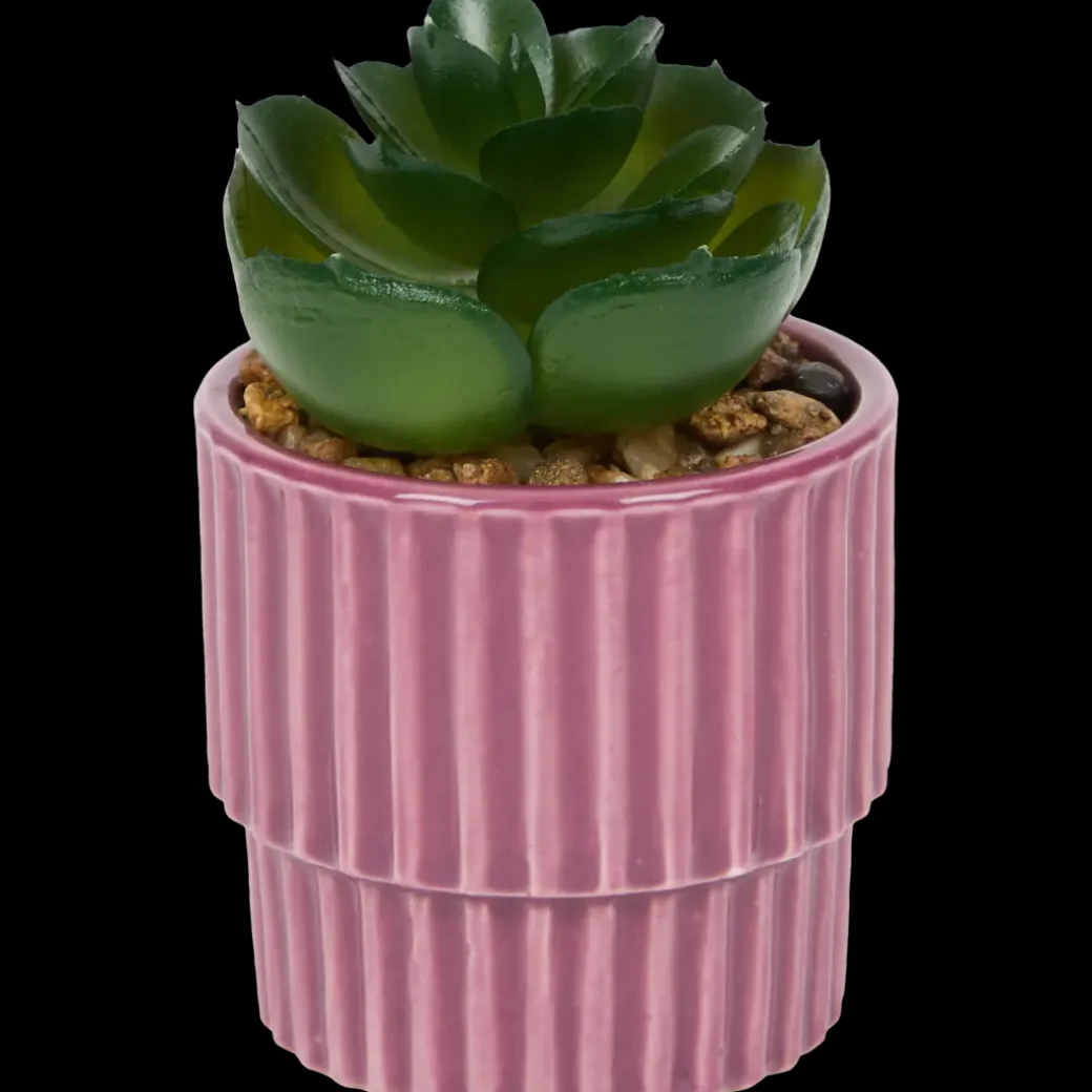 Kunstvetplantje in pot | Action NL